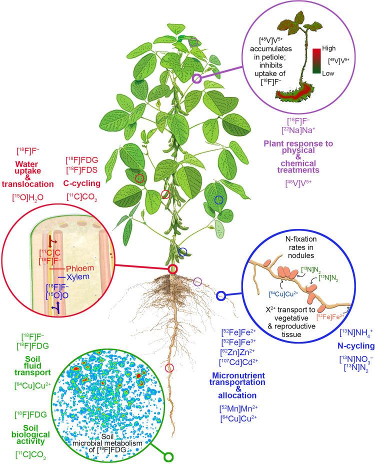 https://cdn.ncbi.nlm.nih.gov/pmc/blobs/5819/7605056/194435747117/10.1177_1536012120966405-fig2.jpg