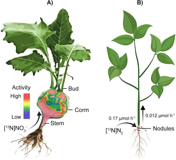 https://cdn.ncbi.nlm.nih.gov/pmc/blobs/5819/7605056/1a4a84468225/10.1177_1536012120966405-fig4.jpg