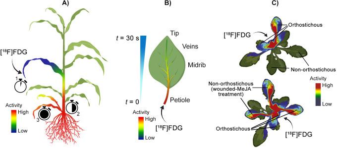 https://cdn.ncbi.nlm.nih.gov/pmc/blobs/5819/7605056/71f51efcf211/10.1177_1536012120966405-fig7.jpg