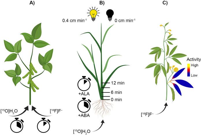 https://cdn.ncbi.nlm.nih.gov/pmc/blobs/5819/7605056/e107608c7f21/10.1177_1536012120966405-fig3.jpg