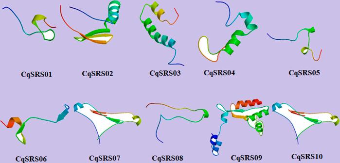 https://cdn.ncbi.nlm.nih.gov/pmc/blobs/5819/9443693/295fe4fdaf39/fgene-13-961925-g006.jpg