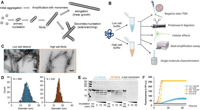 https://cdn.ncbi.nlm.nih.gov/pmc/blobs/581a/11413846/0eca3d3dfdfe/cn4c00185_0001.jpg