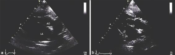 https://cdn.ncbi.nlm.nih.gov/pmc/blobs/581b/5234058/262c463d1876/VetWorld-9-1429-g002.jpg