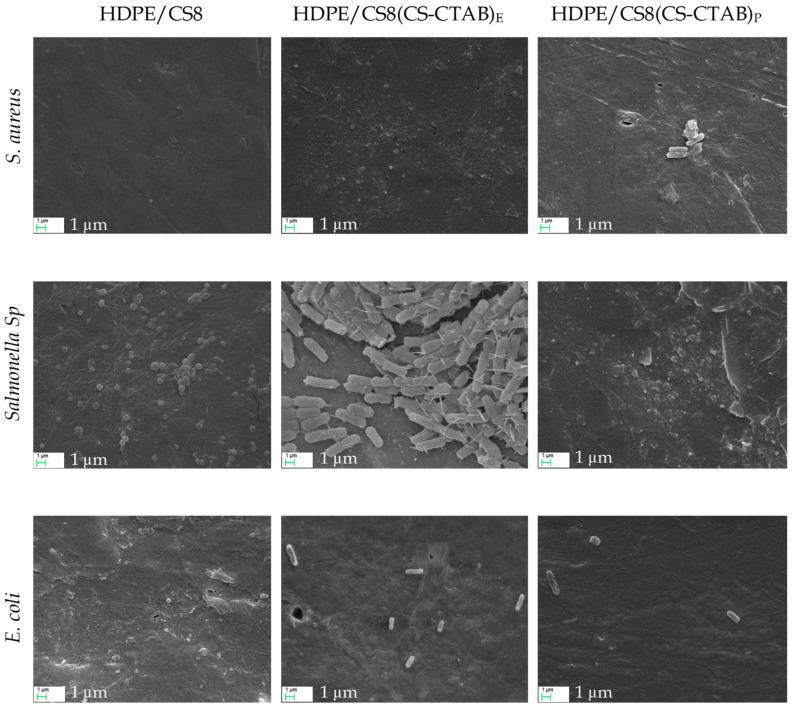 https://cdn.ncbi.nlm.nih.gov/pmc/blobs/581d/9657044/9c471036ec8e/materials-15-07418-g004.jpg