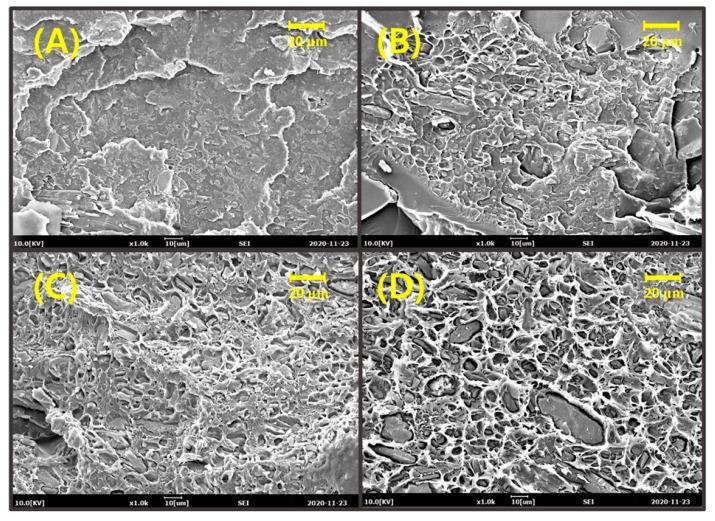 https://cdn.ncbi.nlm.nih.gov/pmc/blobs/5820/7926467/22481764f1d3/polymers-13-00667-g002.jpg