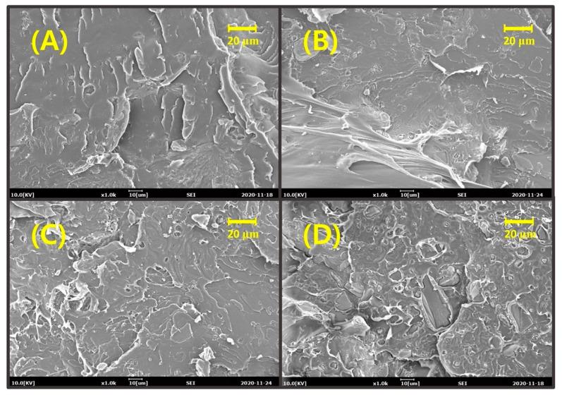 https://cdn.ncbi.nlm.nih.gov/pmc/blobs/5820/7926467/a6ccd7b6f335/polymers-13-00667-g003.jpg