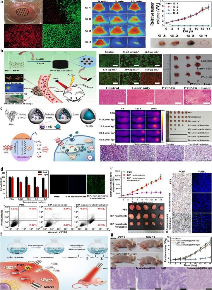 https://cdn.ncbi.nlm.nih.gov/pmc/blobs/5822/8015163/3b698e8dd28d/12951_2021_825_Fig9_HTML.jpg