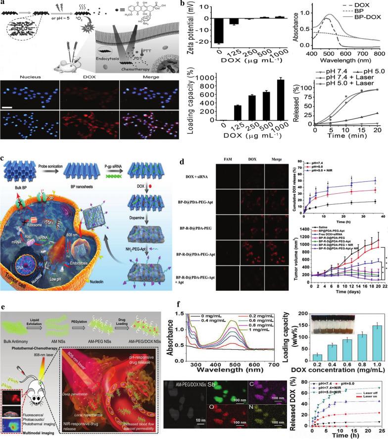 https://cdn.ncbi.nlm.nih.gov/pmc/blobs/5822/8015163/73ad93496621/12951_2021_825_Fig10_HTML.jpg