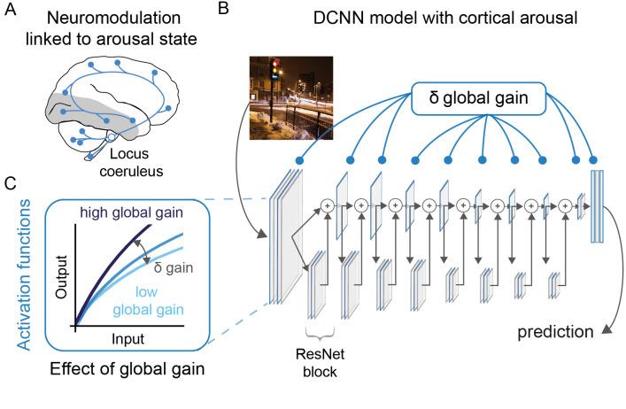 https://cdn.ncbi.nlm.nih.gov/pmc/blobs/5822/9009767/a3b8380686fb/pcbi.1009976.g001.jpg