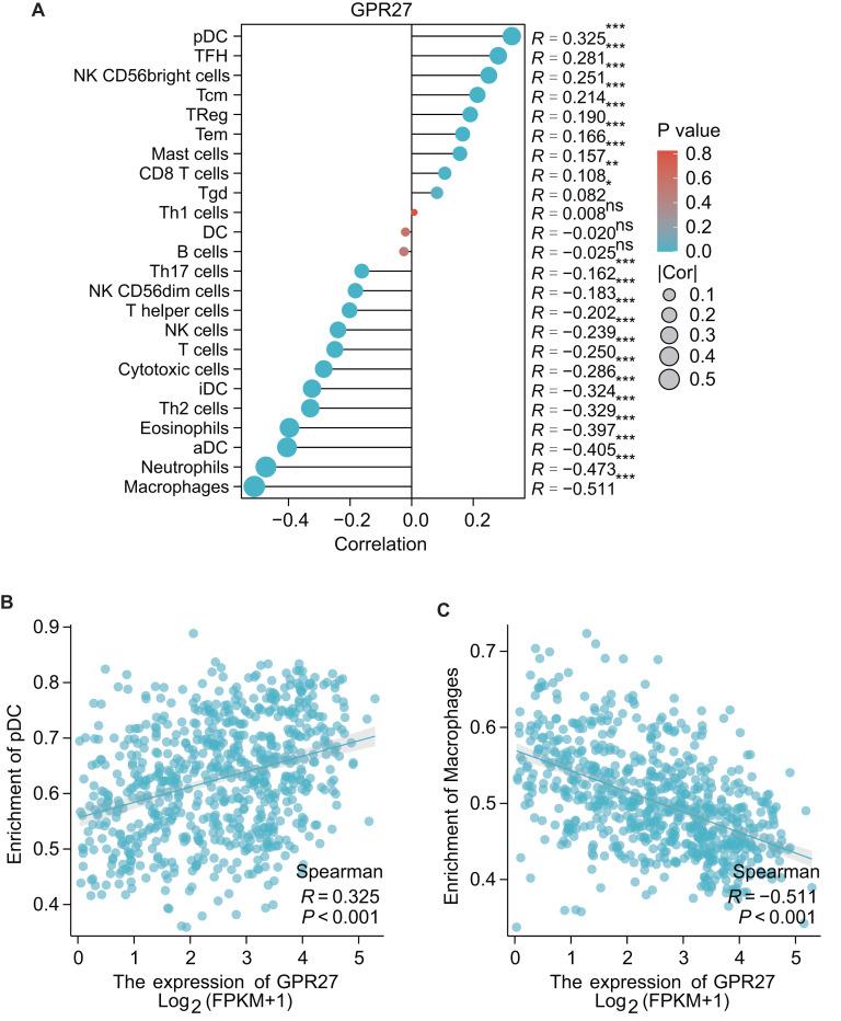 https://cdn.ncbi.nlm.nih.gov/pmc/blobs/5823/11025540/5bb09fa92bb2/peerj-12-17024-g004.jpg