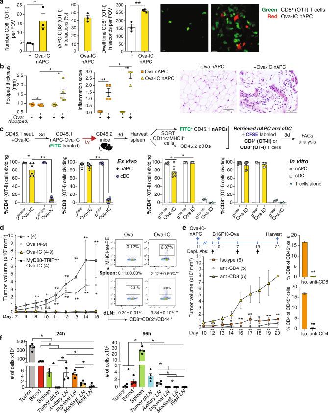 https://cdn.ncbi.nlm.nih.gov/pmc/blobs/5823/8352912/ee4845e15b65/41467_2021_24591_Fig4_HTML.jpg