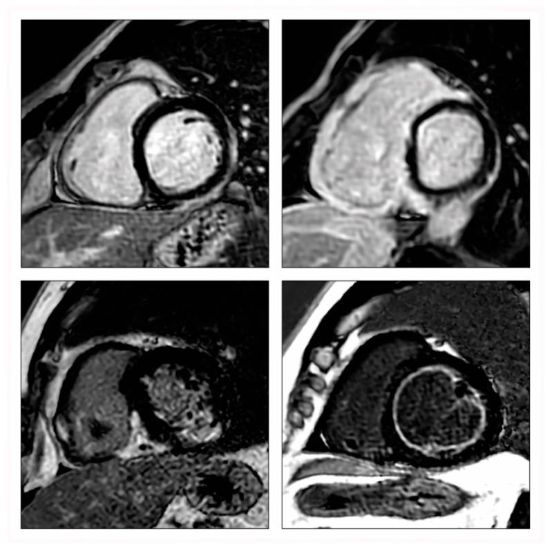 https://cdn.ncbi.nlm.nih.gov/pmc/blobs/5825/8871324/2000be4f034a/diagnostics-12-00399-g002.jpg