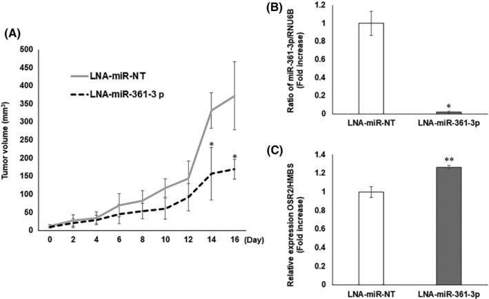 https://cdn.ncbi.nlm.nih.gov/pmc/blobs/5826/7226181/7508f7d82fc6/CAS-111-1645-g003.jpg