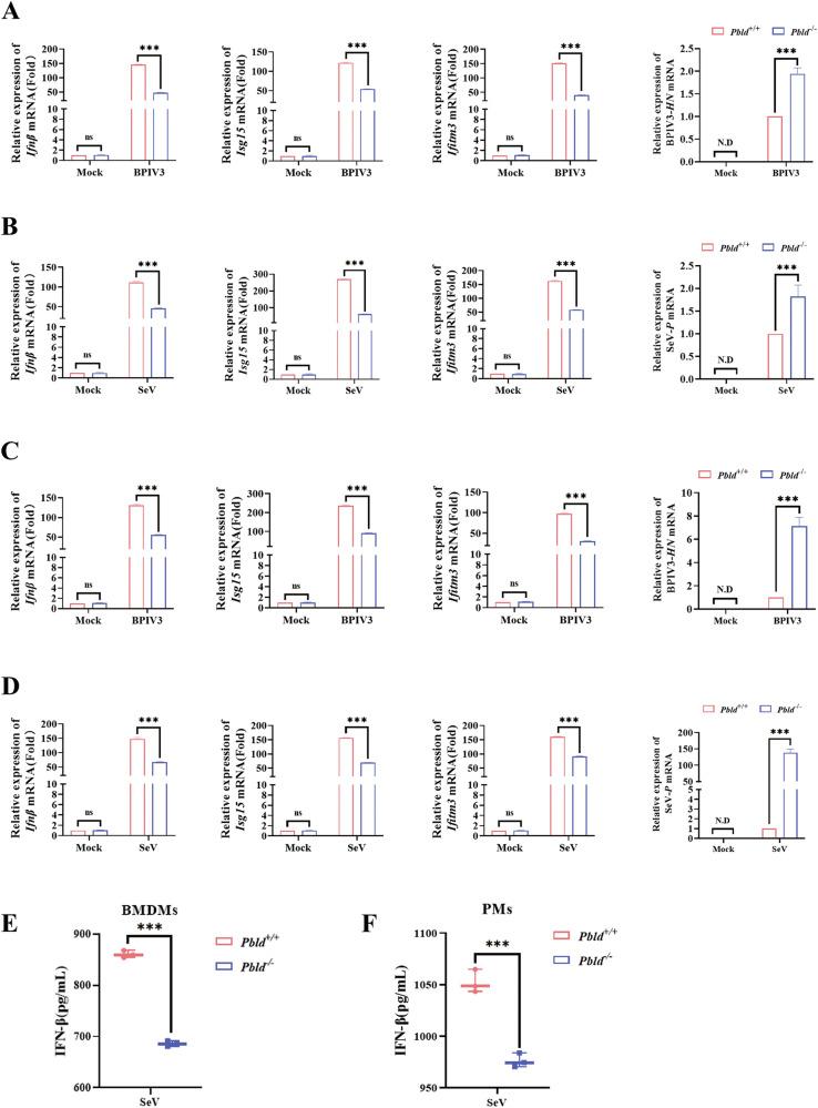 https://cdn.ncbi.nlm.nih.gov/pmc/blobs/5827/11450232/870573c9e73d/41419_2024_7083_Fig8_HTML.jpg