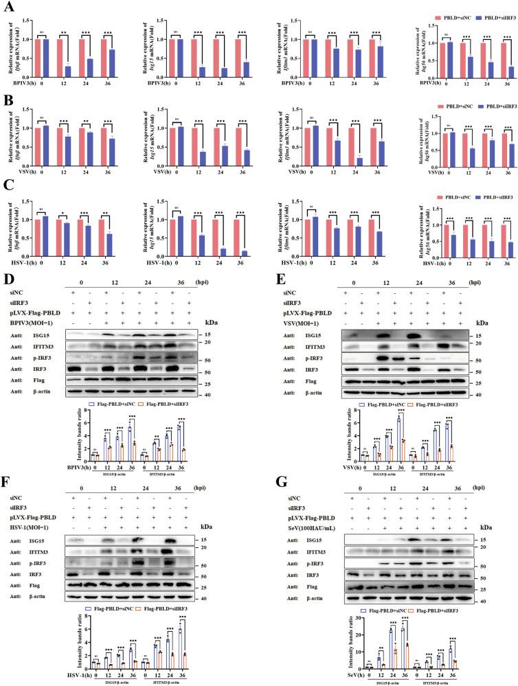 https://cdn.ncbi.nlm.nih.gov/pmc/blobs/5827/11450232/8e24758742bf/41419_2024_7083_Fig2_HTML.jpg