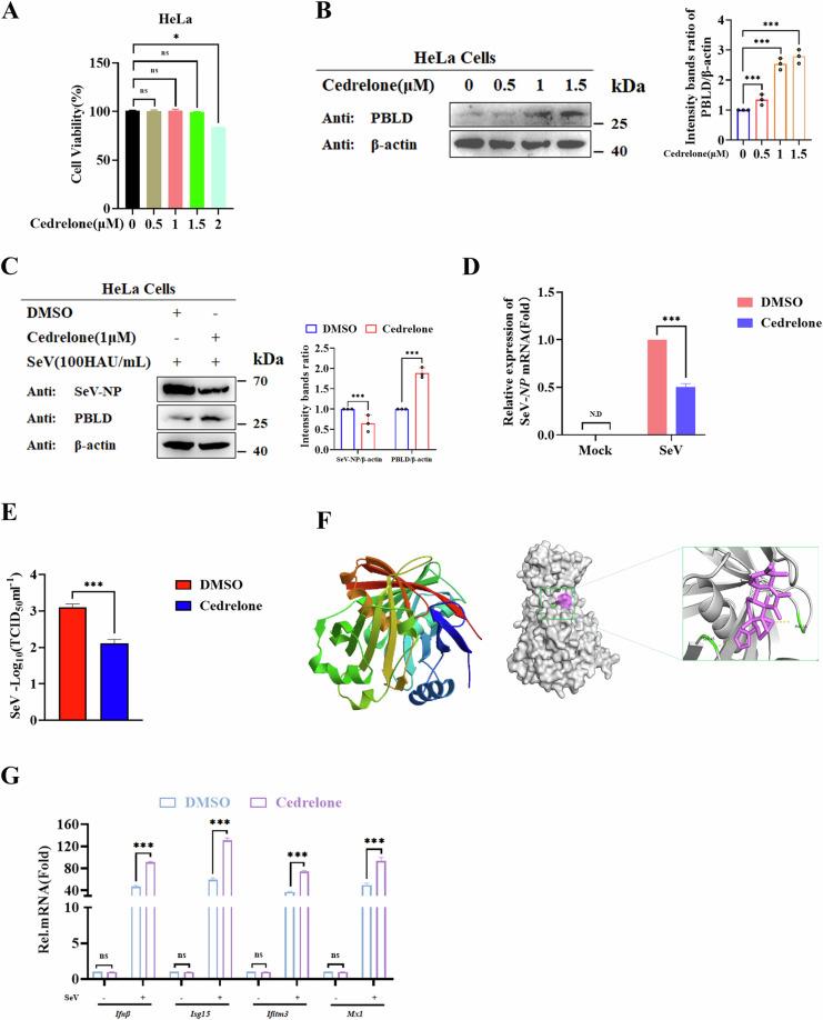 https://cdn.ncbi.nlm.nih.gov/pmc/blobs/5827/11450232/eabcfb945500/41419_2024_7083_Fig10_HTML.jpg
