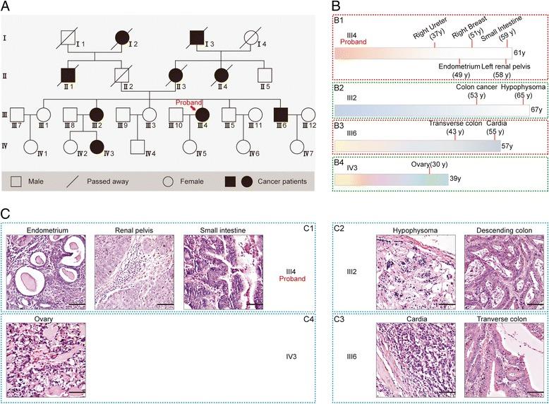 https://cdn.ncbi.nlm.nih.gov/pmc/blobs/5828/5627420/c635c7755cef/13045_2017_523_Fig1_HTML.jpg