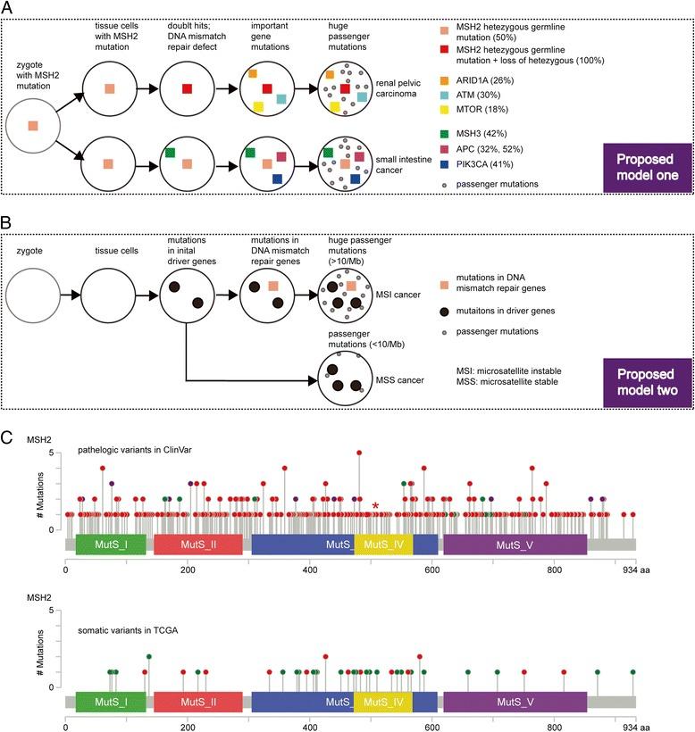 https://cdn.ncbi.nlm.nih.gov/pmc/blobs/5828/5627420/e278cd3e6efd/13045_2017_523_Fig5_HTML.jpg