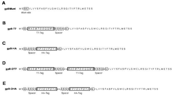 https://cdn.ncbi.nlm.nih.gov/pmc/blobs/582a/3193035/9aeae87fcdb5/1471-2180-11-211-1.jpg