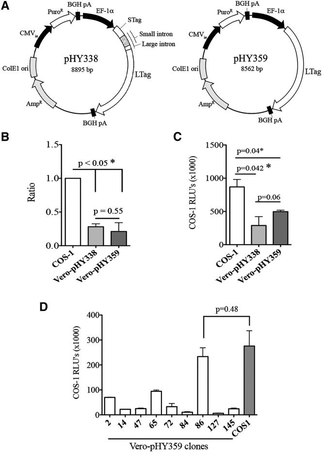 https://cdn.ncbi.nlm.nih.gov/pmc/blobs/582a/5537168/e197d60a93fd/gr2.jpg