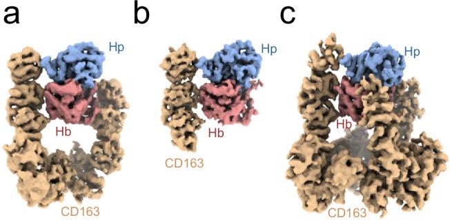https://cdn.ncbi.nlm.nih.gov/pmc/blobs/582c/11685794/a38ef1f035f3/41467_2024_55171_Fig2_HTML.jpg
