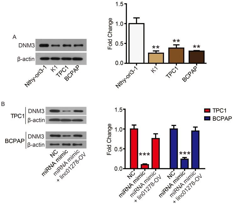 https://cdn.ncbi.nlm.nih.gov/pmc/blobs/582d/6756842/806f81eeb95b/CMAR-11-8557-g0006.jpg
