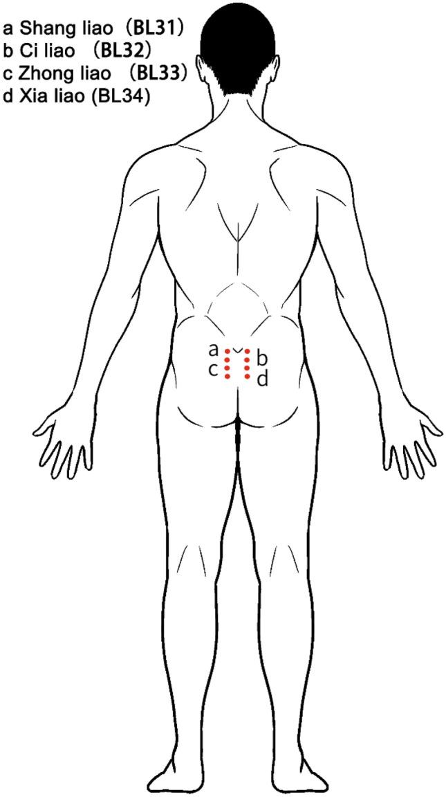 https://cdn.ncbi.nlm.nih.gov/pmc/blobs/582f/10115677/fa5b749efee2/384_2023_4403_Fig1_HTML.jpg