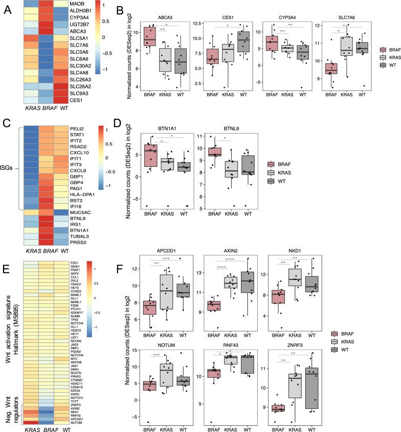 https://cdn.ncbi.nlm.nih.gov/pmc/blobs/5830/11234641/2330d681cb1a/12967_2024_5467_Fig4_HTML.jpg