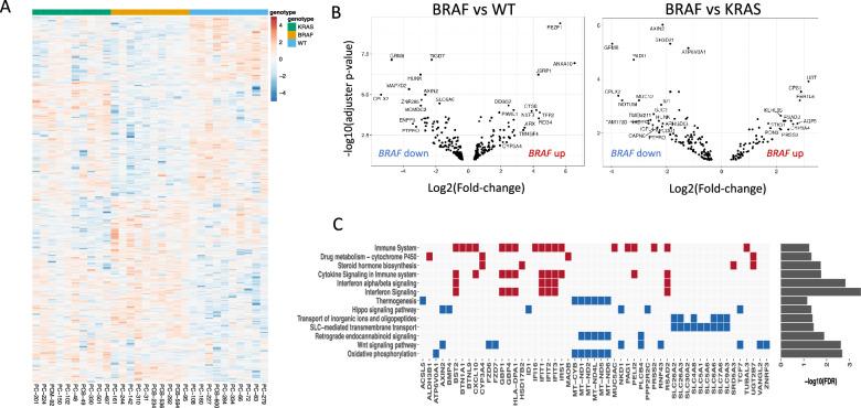 https://cdn.ncbi.nlm.nih.gov/pmc/blobs/5830/11234641/4f1c149e875f/12967_2024_5467_Fig3_HTML.jpg