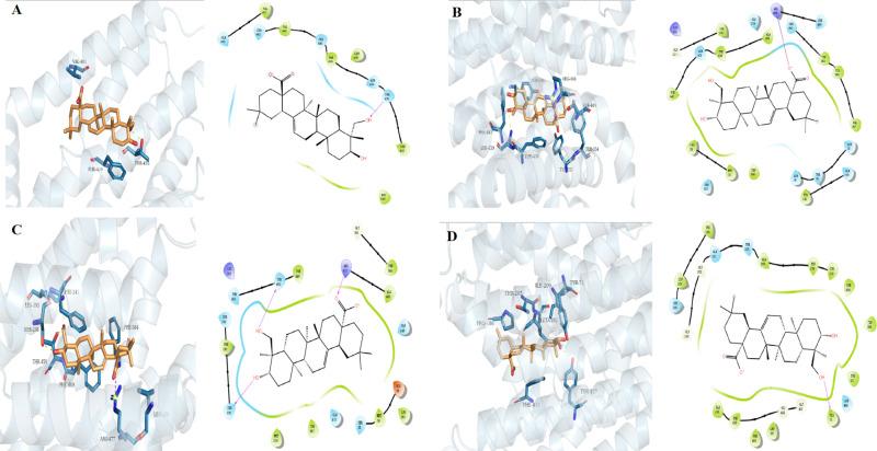 https://cdn.ncbi.nlm.nih.gov/pmc/blobs/5830/12186911/141832825611/pone.0326317.g002.jpg