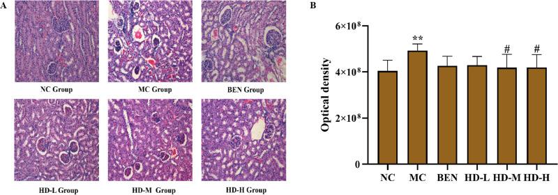 https://cdn.ncbi.nlm.nih.gov/pmc/blobs/5830/12186911/67cd6a99bef3/pone.0326317.g009.jpg