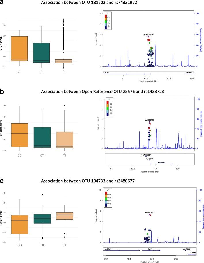 https://cdn.ncbi.nlm.nih.gov/pmc/blobs/5834/5036307/8fb351f38b75/13059_2016_1052_Fig5_HTML.jpg