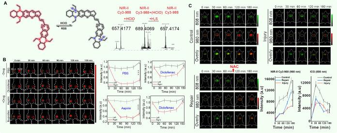 https://cdn.ncbi.nlm.nih.gov/pmc/blobs/5835/11503936/5164fb20b22a/im3c00040_0010.jpg