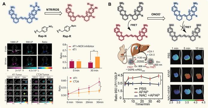 https://cdn.ncbi.nlm.nih.gov/pmc/blobs/5835/11503936/6114924775a8/im3c00040_0009.jpg