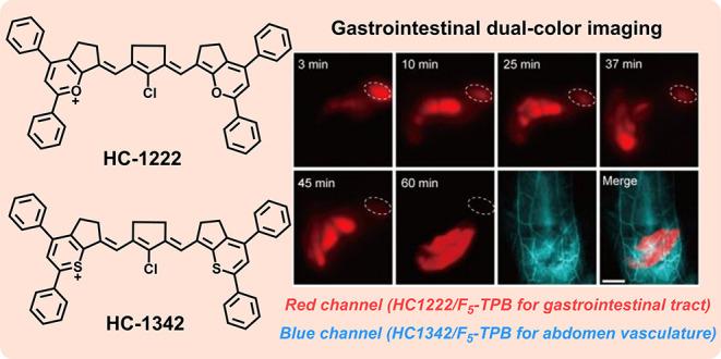 https://cdn.ncbi.nlm.nih.gov/pmc/blobs/5835/11503936/861cf23c4152/im3c00040_0006.jpg