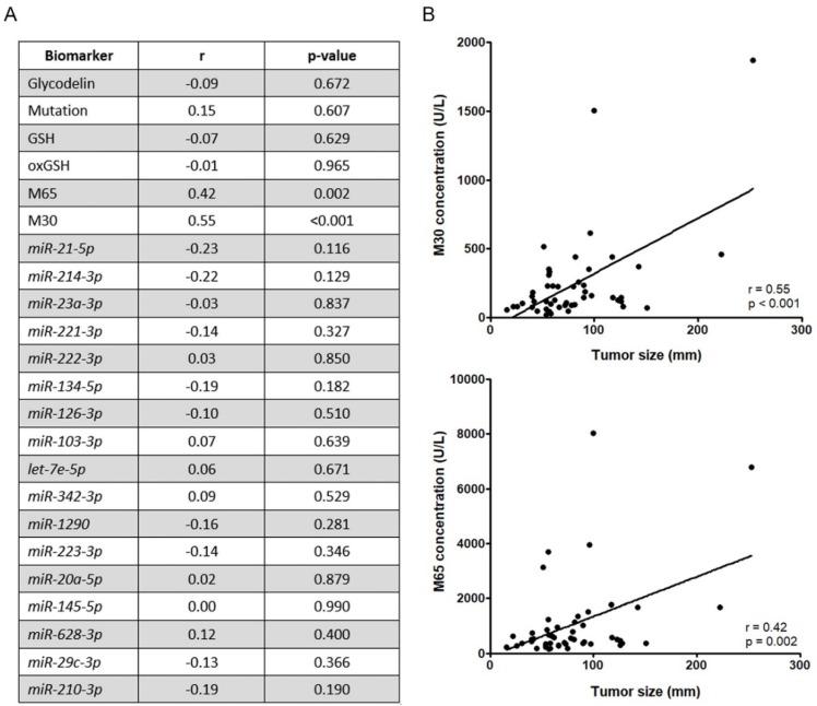 https://cdn.ncbi.nlm.nih.gov/pmc/blobs/5836/7226444/778eac6b7e13/cancers-12-00954-g003.jpg