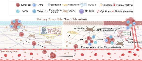 https://cdn.ncbi.nlm.nih.gov/pmc/blobs/5837/12246558/094376be2580/MCO2-6-e70292-g004.jpg