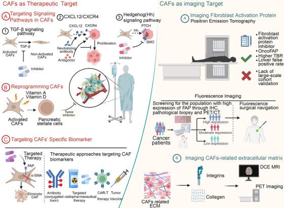 https://cdn.ncbi.nlm.nih.gov/pmc/blobs/5837/12246558/33d0d92b75ef/MCO2-6-e70292-g005.jpg