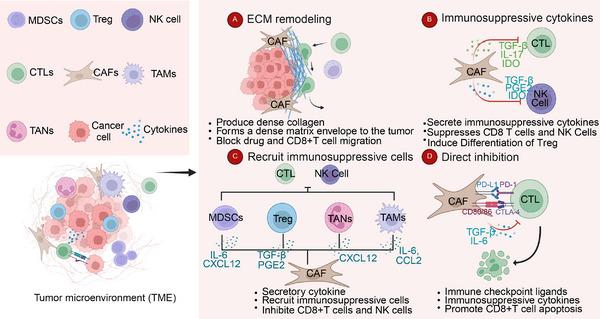 https://cdn.ncbi.nlm.nih.gov/pmc/blobs/5837/12246558/ece4eb2ba242/MCO2-6-e70292-g003.jpg