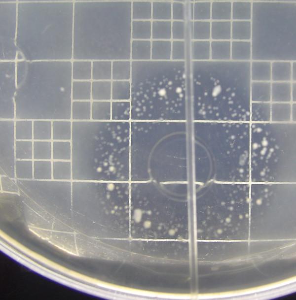 https://cdn.ncbi.nlm.nih.gov/pmc/blobs/5837/3158544/1a55cdc17927/1472-6904-11-9-6.jpg