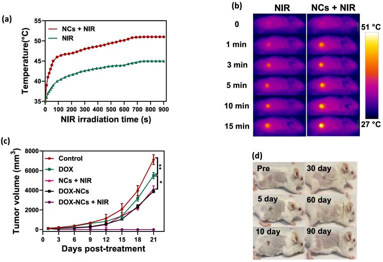 https://cdn.ncbi.nlm.nih.gov/pmc/blobs/5838/9194590/4e40a2e025b7/ntnov06p0350g011.jpg