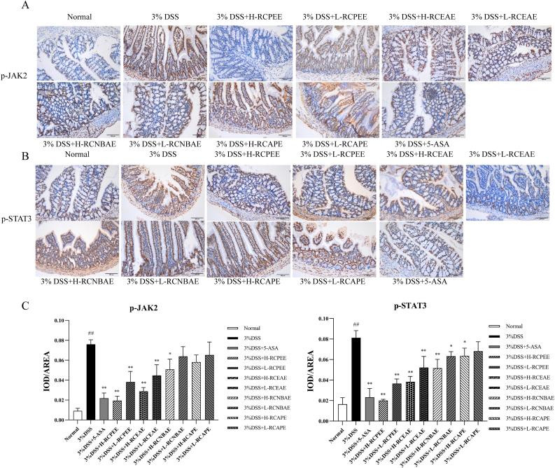 https://cdn.ncbi.nlm.nih.gov/pmc/blobs/5838/9445285/466b00714bbb/gr9.jpg