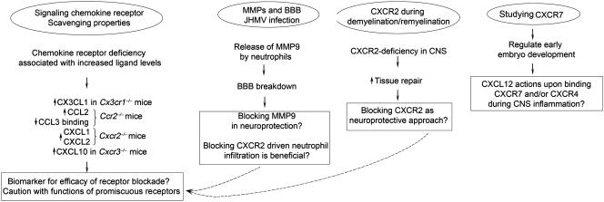 https://cdn.ncbi.nlm.nih.gov/pmc/blobs/5839/2516908/d4f4a4cfc874/zgb0090846050001.jpg