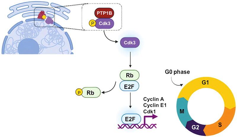 https://cdn.ncbi.nlm.nih.gov/pmc/blobs/583b/10761042/795ea376c667/TMCB_A_2273193_F0008_C.jpg