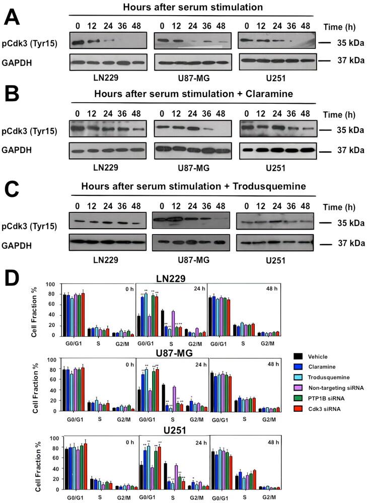 https://cdn.ncbi.nlm.nih.gov/pmc/blobs/583b/10761042/8b0cedc43979/TMCB_A_2273193_F0005_C.jpg