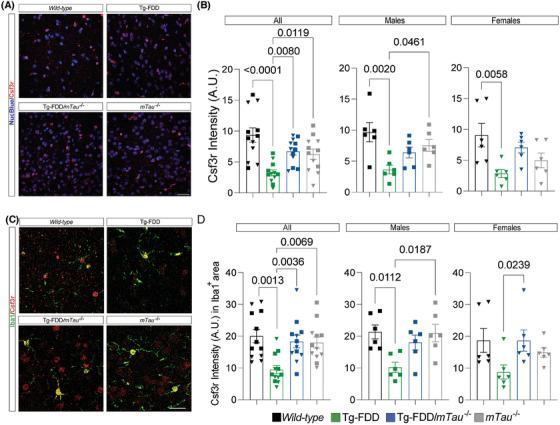 https://cdn.ncbi.nlm.nih.gov/pmc/blobs/583d/12064415/5da9be1c0c60/ALZ-21-e70238-g006.jpg