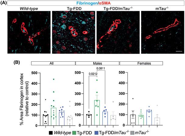 https://cdn.ncbi.nlm.nih.gov/pmc/blobs/583d/12064415/d91fb5c580e1/ALZ-21-e70238-g003.jpg