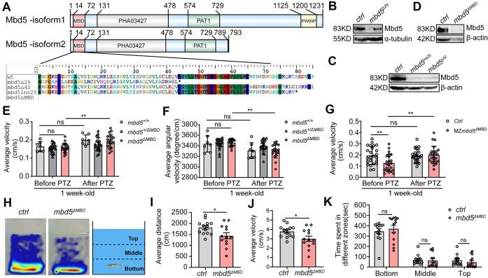 https://cdn.ncbi.nlm.nih.gov/pmc/blobs/583f/11077058/1784926103fa/gkae093fig2.jpg