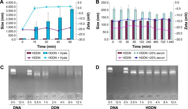 https://cdn.ncbi.nlm.nih.gov/pmc/blobs/583f/5503489/20fb4f0bb6c9/ijn-12-4773Fig6.jpg