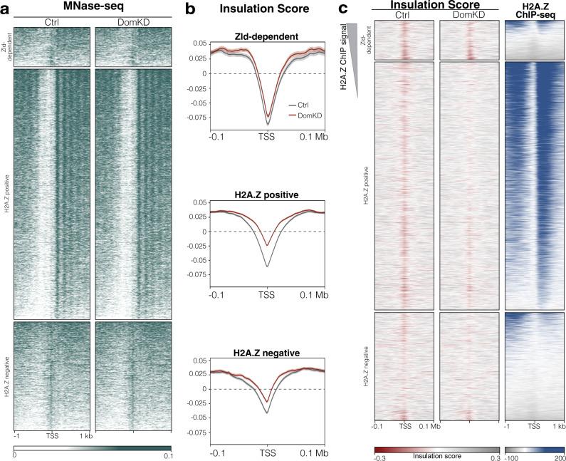 https://cdn.ncbi.nlm.nih.gov/pmc/blobs/583f/8636486/0dcde67092ea/41467_2021_27125_Fig4_HTML.jpg